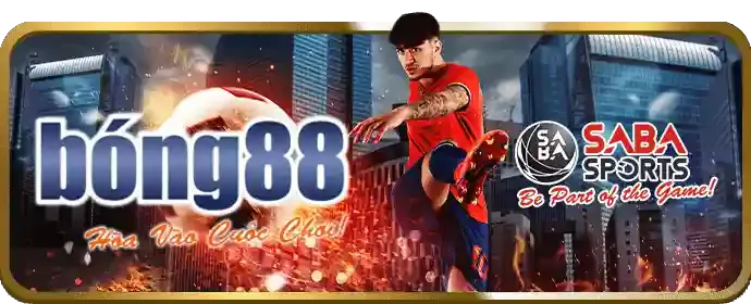 Cá cược bóng rổ tại aa88 chính thức